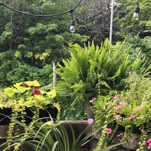 Meet your Posher, Bernadetta